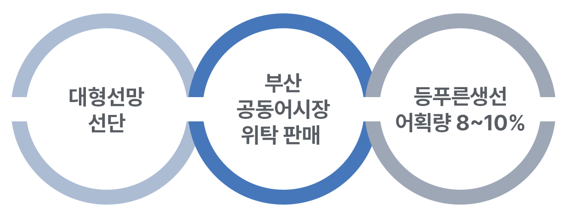 대형선망 선단, 부산 공동어시장 위탁판매, 등푸른 생선 어획량 8~10%